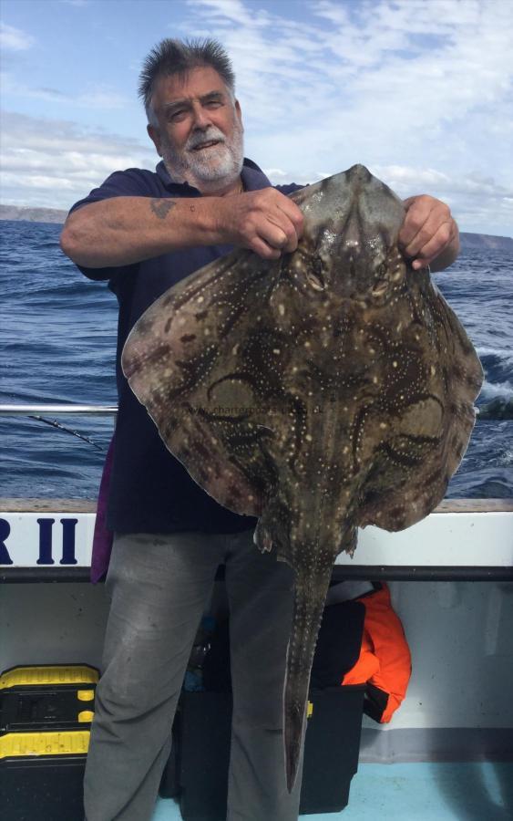 16 lb 8 oz Undulate Ray by Colin Hatrey