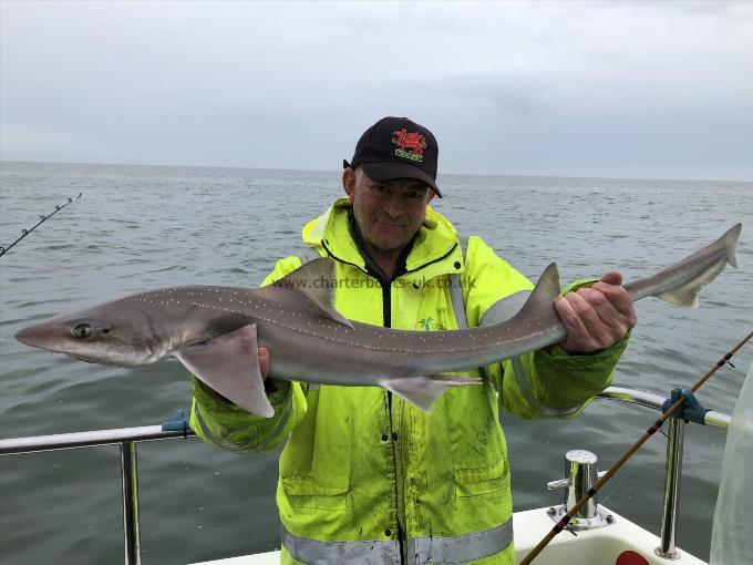 5 Kg Starry Smooth-hound by Ray Crowe