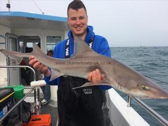 16 lb Smooth-hound (Common) by Phil Rogers