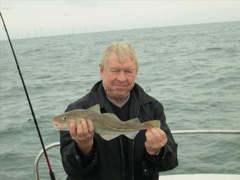 2 lb 5 oz Cod by Unknown