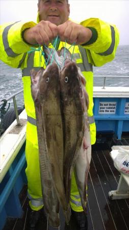 10 lb Ling (Common) by andy from hull