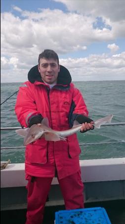 5 lb Starry Smooth-hound by Bob Marshall