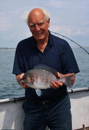 3 lb Black Sea Bream by Unknown