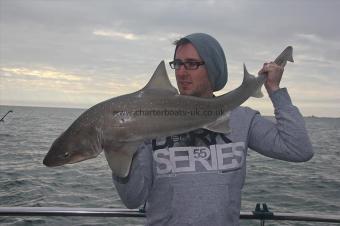 17 lb Starry Smooth-hound by Paul