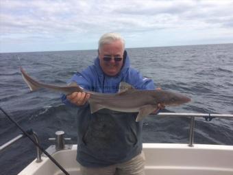 6 lb 7 oz Smooth-hound by Roy Shipway