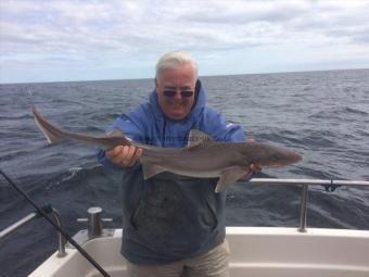 6 lb 7 oz Smooth-hound (Common) by Roy Shipway