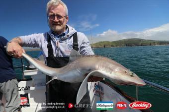 16 lb Starry Smooth-hound by Cormac