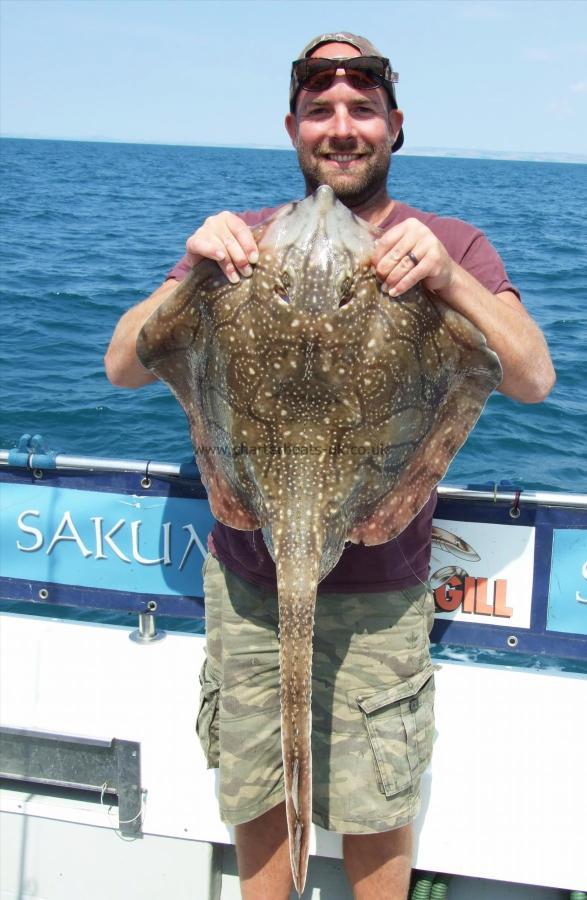 15 lb Undulate Ray by Andy Morley