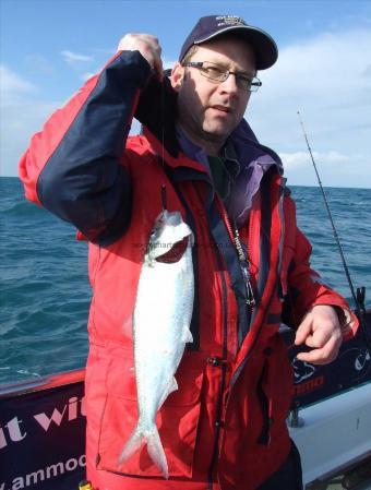 2 lb 4 oz Allis Shad by Richard Christian