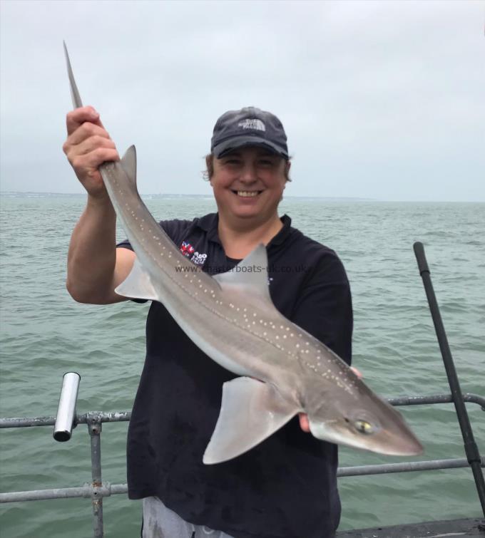 8 lb Smooth-hound (Common) by Unknown