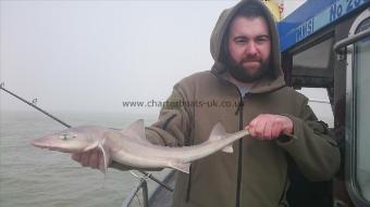 4 lb 7 oz Starry Smooth-hound by Kevin from Medway