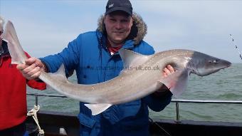 16 lb Starry Smooth-hound by Unknown