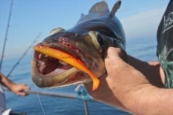 4 lb Pollock by Shiney Balls