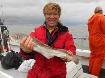 3 lb 5 oz Cod by Harry