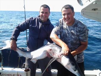 65 lb Blue Shark by unknown