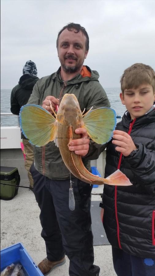 3 lb Tub Gurnard by Unknown