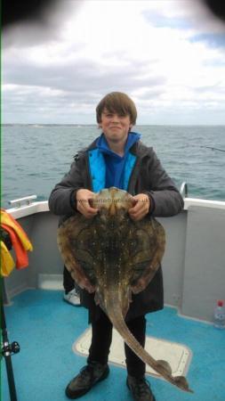 15 lb Undulate Ray by Unknown