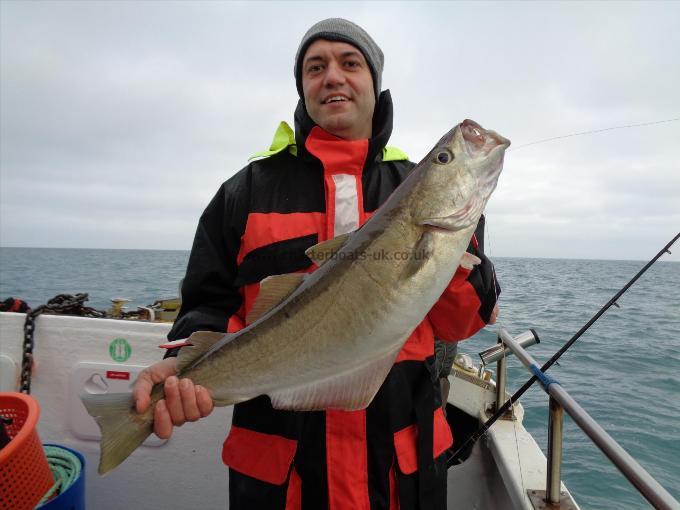 11 lb 6 oz Pollock by Gabriel