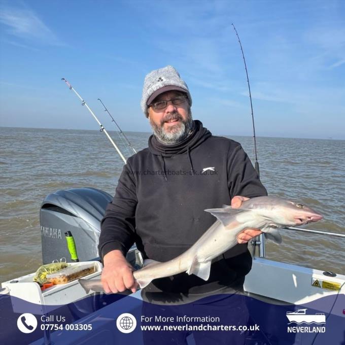 6 lb 3 oz Starry Smooth-hound by Dustyne
