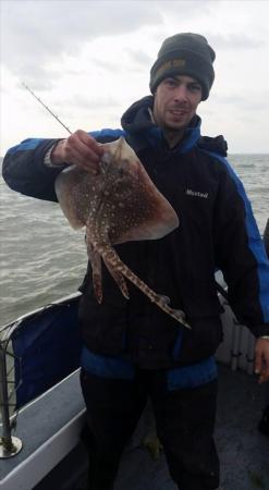 4 lb Common Skate by Stuart,,