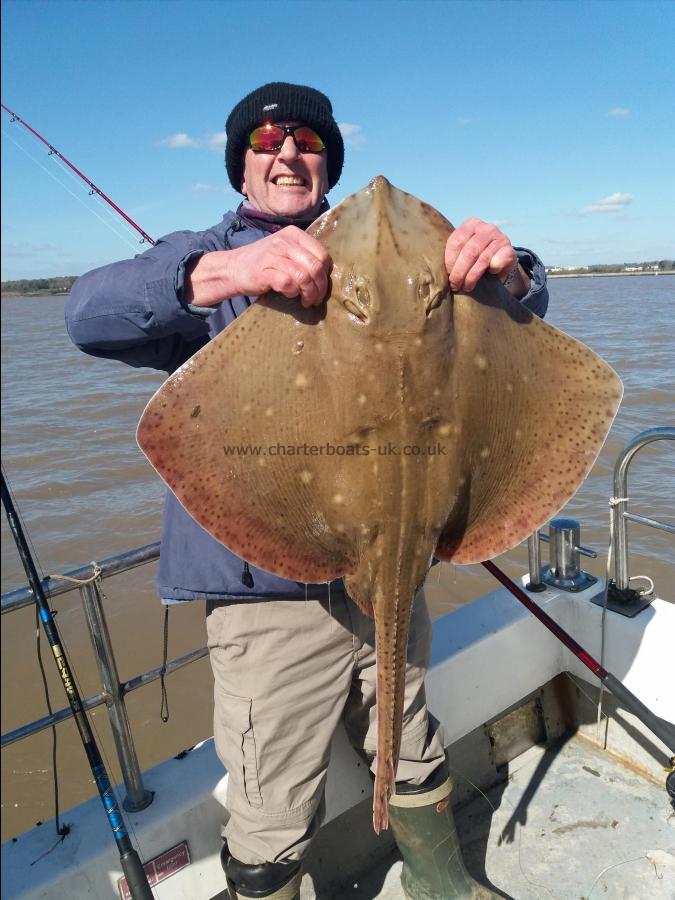 17 lb 4 oz Blonde Ray by Unknown