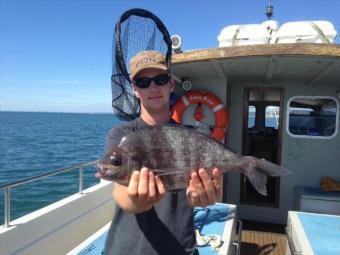 3 lb 5 oz Black Sea Bream by Lewis Hodder