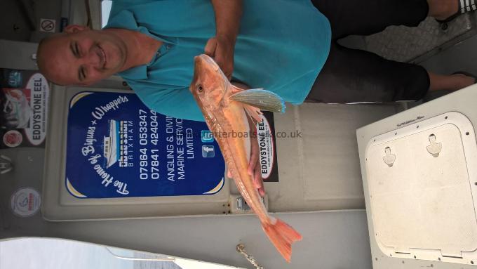 5 lb 1 oz Tub Gurnard by Steve