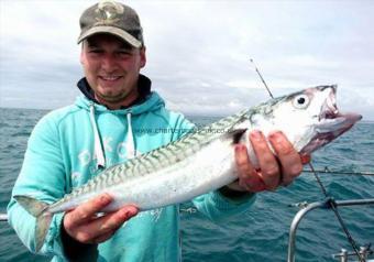 4 lb Mackerel by Luke Biddiscombe