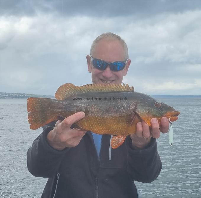 4 lb 1 oz Ballan Wrasse by Matt