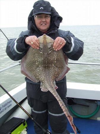 11 lb 9 oz Thornback Ray by malcolm