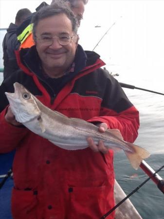 3 lb Whiting by Glenn Knight