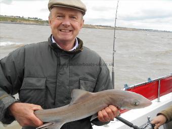 4 lb 5 oz Starry Smooth-hound by Rodger