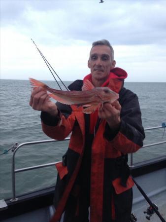 2 lb 8 oz Tub Gurnard by Unknown