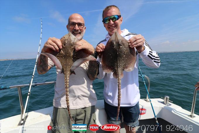 5 lb Thornback Ray by Unknown