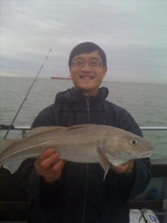 4 lb 8 oz Cod by Mr Yap