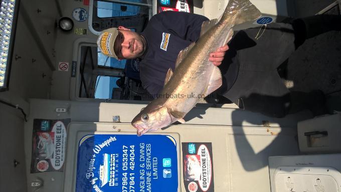 7 lb Pollock by bob