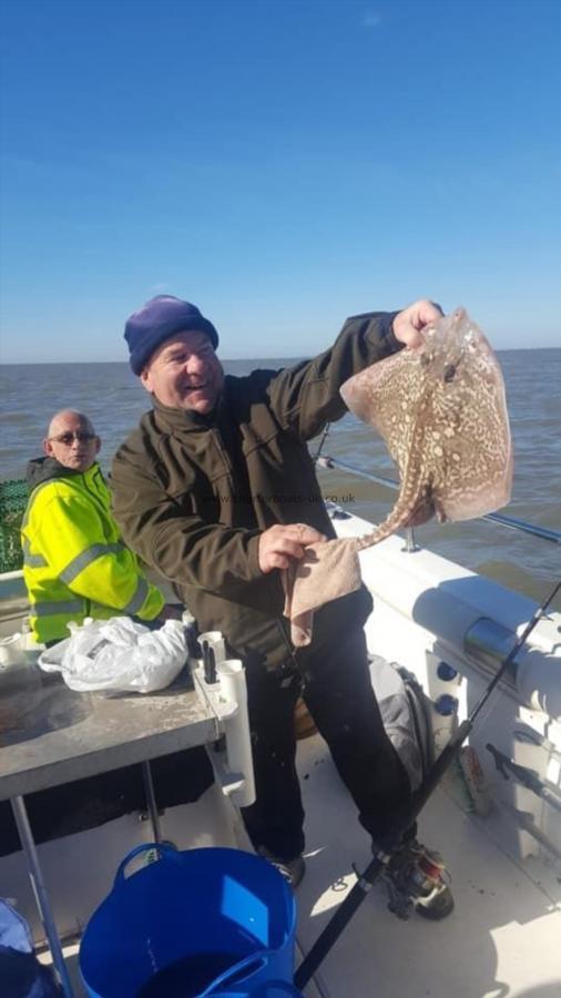 5 Kg Thornback Ray by Unknown