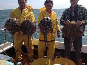 8 lb 4 oz Thornback Ray by Unknown