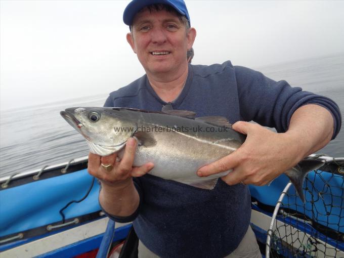 5 lb 4 oz Coalfish (Coley/Saithe) by Unknown