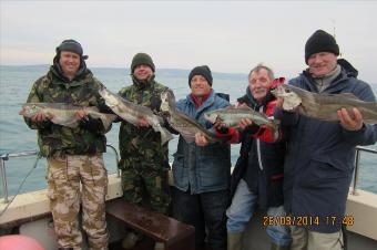 8 lb Pollock by Stephen Wake