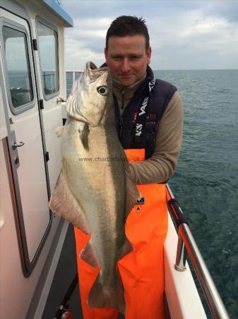 15 lb Pollock by Mike Elvy