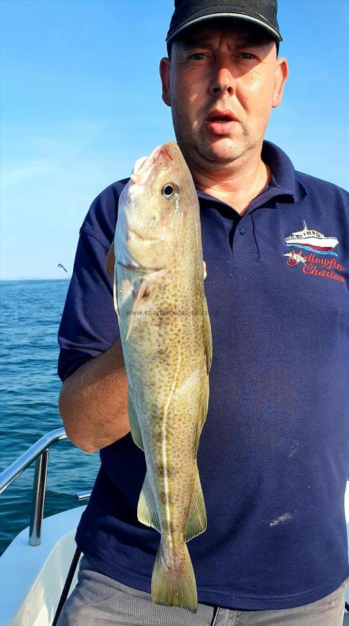 3 lb Cod by Unknown