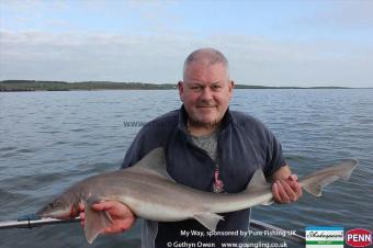 14 lb Starry Smooth-hound by Rick