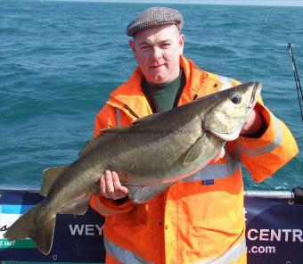 16 lb Pollock by Steve Potts