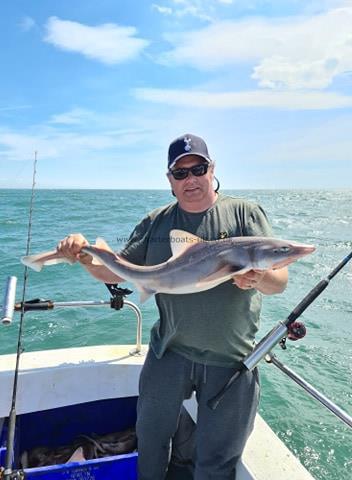 9 lb Smooth-hound (Common) by Dave Warman