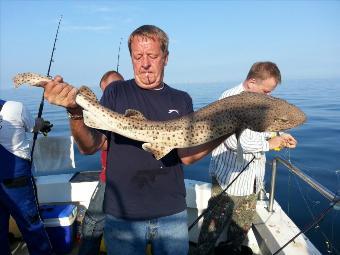 12 lb 11 oz Bull Huss by Dave Collinge