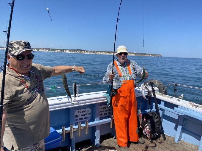 1 lb Mackerel by The mackerel are here