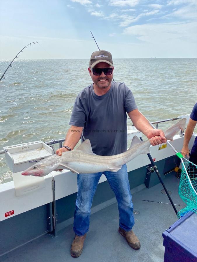 12 lb 8 oz Starry Smooth-hound by Martin