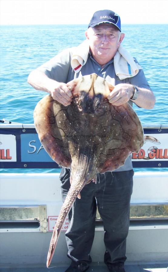 17 lb 8 oz Undulate Ray by Mick Nunn