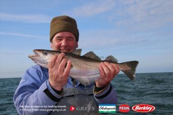 3 lb Pollock by Graham